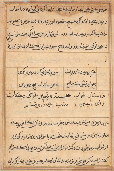 Pagina uit Verhalen van een Papegaai (Tuti-nama): tekstpagina door Unknown artist