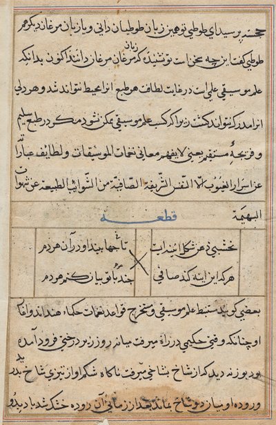 Pagina uit Verhalen van een papegaai (Tuti-nama): tekstpagina door Unknown artist
