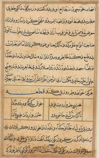 Pagina uit Verhalen van een papegaai (Tuti-nama): tekstpagina door Unknown artist