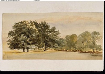 Panorama van een bosrijk bos (recto); landschap met bos rechts (verso) door Unknown artist