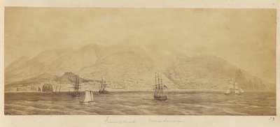 [Panorama van de haven, Funchal, Madeira]. door Unknown artist