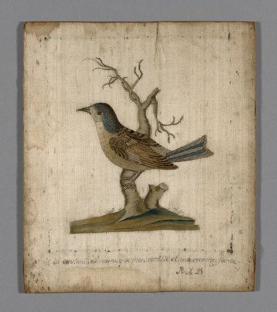 Afbeelding van een vogel door Unknown artist