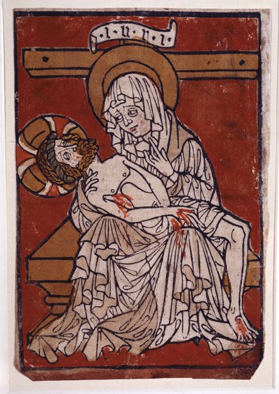 Pieta van de Abdij van Stift Lambach door Unknown artist