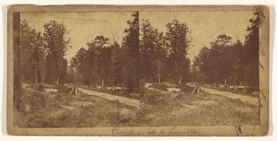 [Plankweg naar Lowella] (recto); [Onbekende stad] (verso) door Unknown artist
