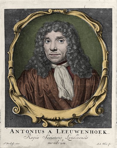 Portret van Antonie Van Leeuwenhoek of Anton van Leeuwenhoek, of Leeuvenhoek, of Leeuwenhoeck. Nederlandse natuuronderzoeker (1632-1723). gravure uit 1722 door Unknown artist