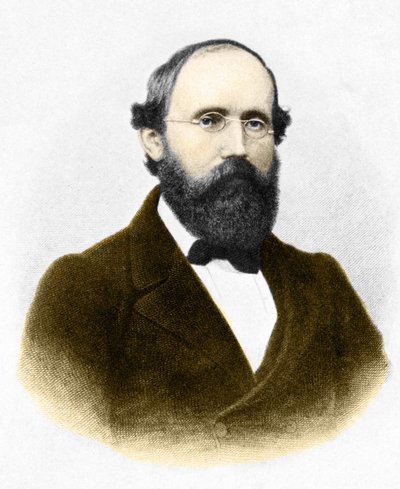 Portret van Bernhard Riemann (1826-1866), Duitse wiskundige door Unknown artist