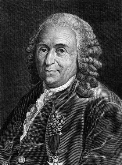 Portret van Carl Von Linné Zweedse natuuronderzoeker en schrijver (1707 - 1778). Gravure uit de 19e eeuw. door Unknown artist