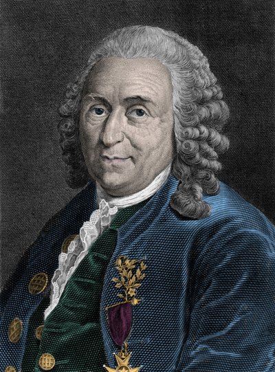 Portret van Charles Linne (Carl von Linne, Linneus 1707-1778), Zweedse natuuronderzoeker. Gravure uit de 19e eeuw door Unknown artist