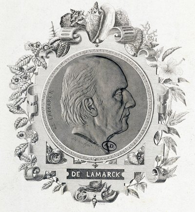 Portret van Jean Baptiste Lamarck - gravure door Unknown artist