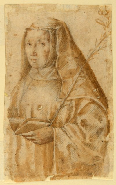 Portret van Sint Catharina van Siena door Unknown artist