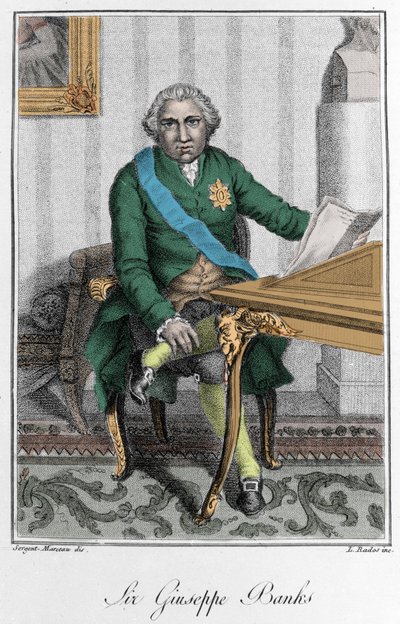 Portret van Sir Joseph Banks (1743-1820), Engelse ontdekkingsreiziger en natuuronderzoeker. Kleurgravure door Unknown artist
