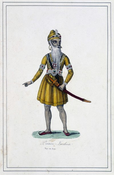 Portret van een Indiase prins in traditionele kleding - in 