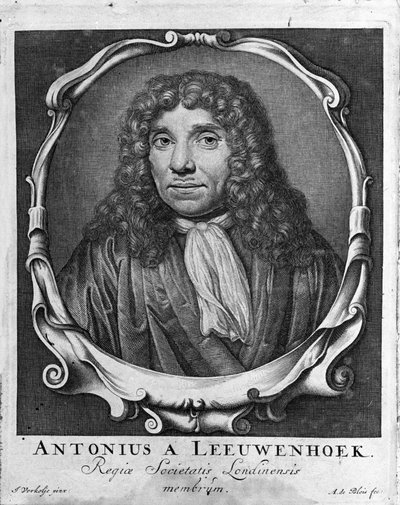 Portret van de Nederlandse handelaar en geleerde Antoine van Leeuwenhoek (1632-1723) (gravure uit 