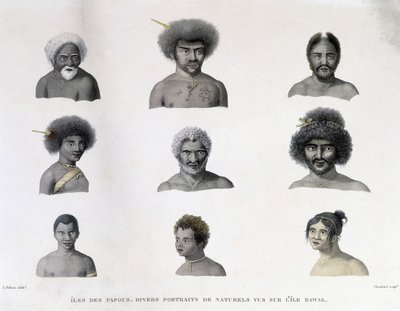 Portretten van de Papua van Rawak-eiland door Unknown artist