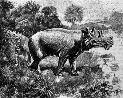 Prehistorie: voorstelling van een vierhoornige Uintatherium dinosaurus. door Unknown artist