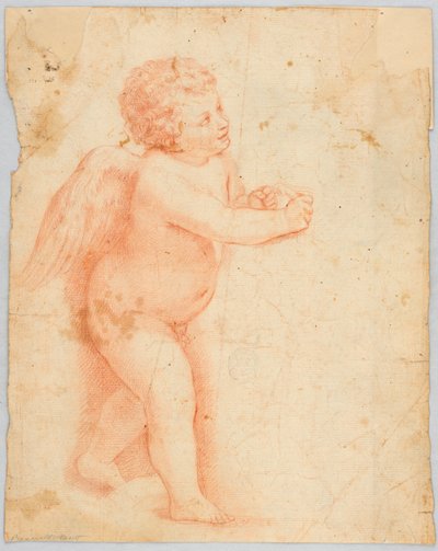 Putto die een Knoop Maakt door Unknown artist