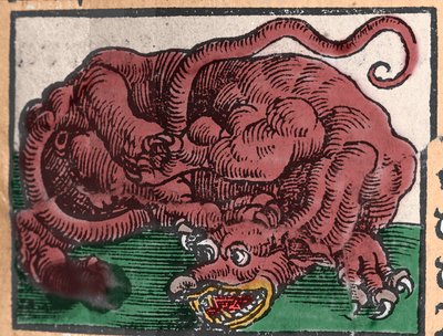 Voorstelling van een draak. Gravure uit 