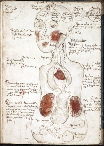 Voorstelling van een Aristoteliaanse Theorie van Bewustzijn (Uit: De corpore et anima) - Anoniem - 1497 - Aquarel op perkament - 22x15,8 - John Rylands University Library door Unknown artist