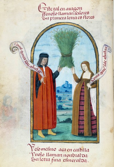 Voorstelling van de katholieke koningen Ferdinand II en Isabella I van Castilië door Unknown artist