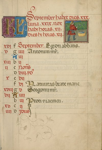 September Kalenderblad; Druiven oogsten door Unknown artist