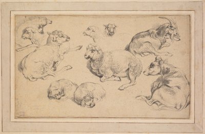Blad met studies van schapen, geiten en honden door Unknown artist