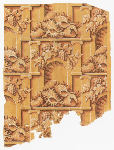Schelpen in de Boog door Unknown artist