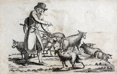 Herder met zijn kudde schapen. Gravure eind 18e eeuw. Privécollectie. door Unknown artist