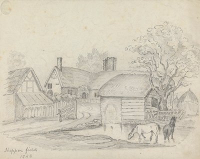 "Sheppon Fields" door Unknown artist