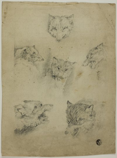 Zes Schetsen van Wolvenkoppen door Unknown artist