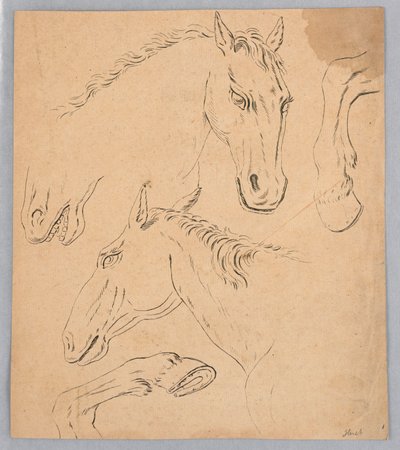 Schetsen van paardenhoofden en hoeven door Unknown artist