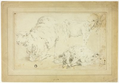 Schetsen van schapen en geit door Unknown artist