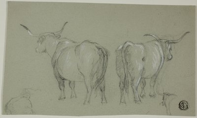 Schetsen van Witte Runderen uit de Maremma door Unknown artist