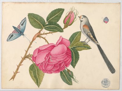 Kleine Zwart-witte Vogel op Rozenblad met Bloesems en Vlinders door Unknown artist