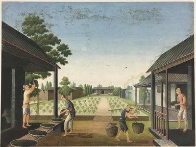 Doek spinnen, theebladeren voorbereiden, zijde voorbereiden door Unknown artist