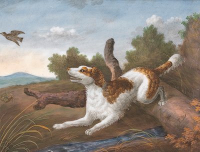 Springer: Een Spaniel die Over een Boomstam Springt om een Snip aan de Linkerkant te Vangen door Unknown artist