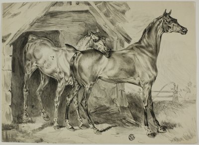 Staande Merrie en Veulen door Unknown artist