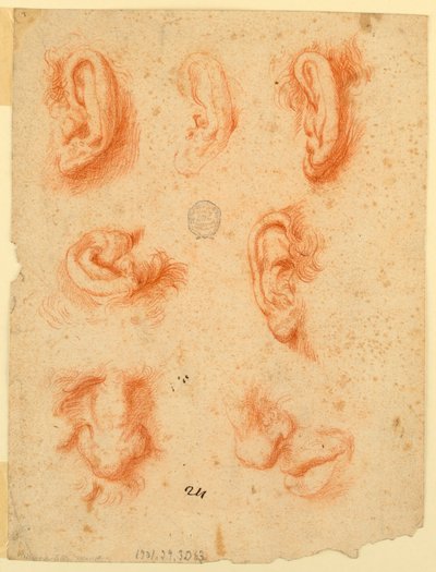 Studies van vijf oren, neuzen en een mond door Unknown artist
