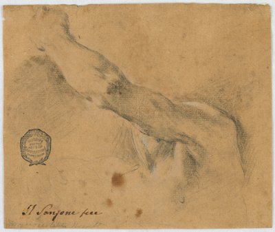 Studie: De linkerarm en de aangrenzende delen van het lichaam van een oudere man door Unknown artist