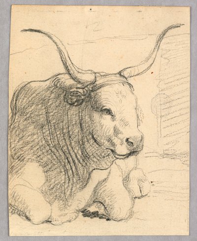 Studie: een liggende koe door Unknown artist