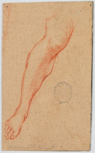 Studie voor het rechterbeen van een zittende vrouw door Unknown artist