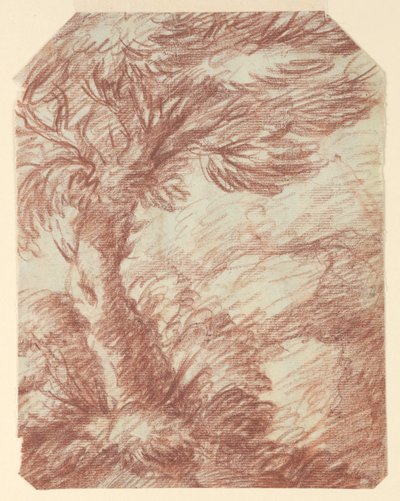 Studie van bomen door Unknown artist