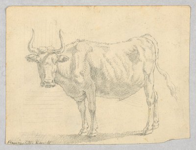 Studie van een koe door Unknown artist