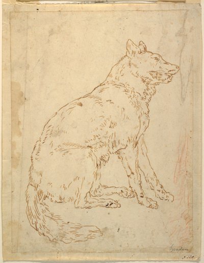 Studie van een herdershond door Unknown artist