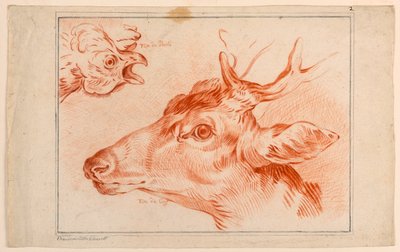 Studie van de koppen van een kip en hert door Unknown artist