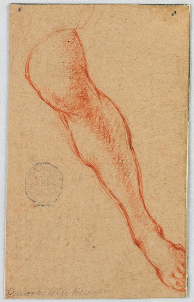 Studie van het linkerbeen van een zittende vrouw door Unknown artist