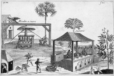 Suikerproductie: Suikermolen en suikerfabriek - in "Algemene Geschiedenis van Geneesmiddelen, Eenvoudig en Samengesteld" door Pomet door Unknown artist