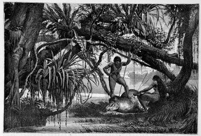 Tapir gedood door Indianen van Brazilië - in "Rond de wereld" 2e semester 1874 door Unknown artist