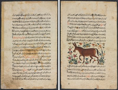 Tekstpagina, Perzisch Proza (Recto); Khar (Ezel) (Verso) door Unknown artist