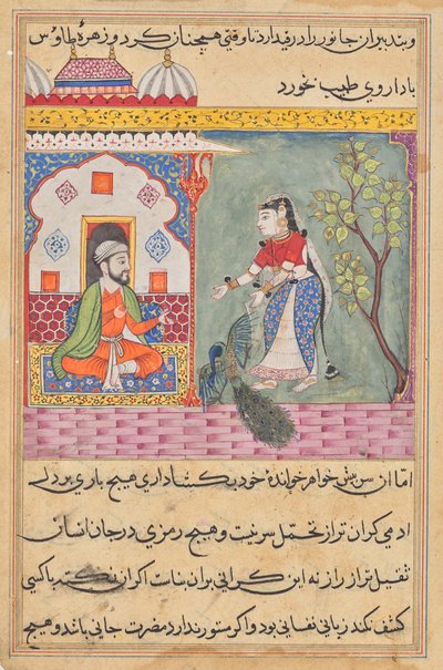 De vrouw van de Brahmaan die een pauw doodde en zijn galblaas at op advies van de arts, uit een Tuti-nama (Verhalen van een Papegaai): Negentiende Nacht door Unknown artist