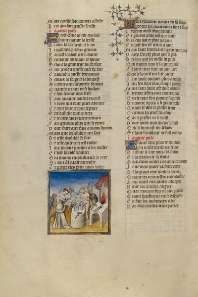 De personificatie van de natuur Vogels, dieren en mensen maken door Unknown artist